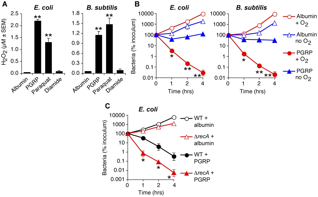 PGRP induces H<sub>2</sub>O<sub>2</sub> production, requires O<sub>2</sub> for killing, and the killing involves DNA damage.
