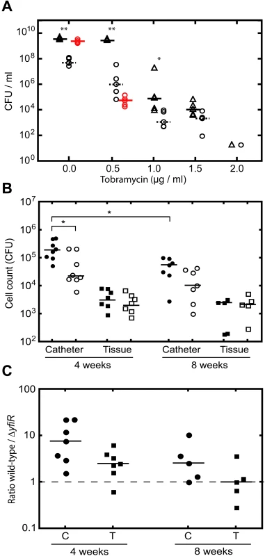 YfiN-mediated SCVs contribute to persistence <i>in vitro</i> and <i>in vivo.</i>
