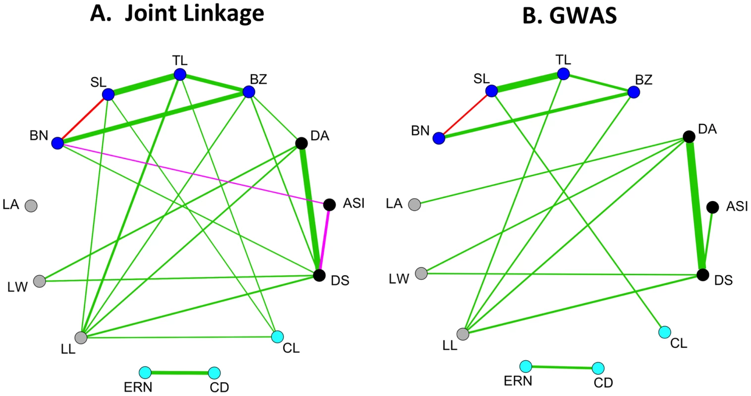 Pleiotropy for maize morphological traits.