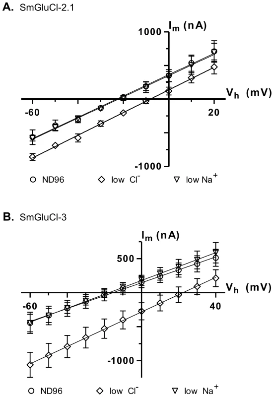 Ion selectivity of SmGluCl-2.1 and SmGluCl-3.