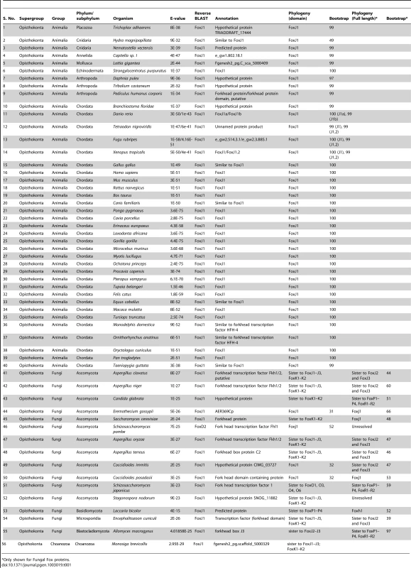 List of organisms with an identifiable FoxJ1 based on reverse BLAST and/or phylogenetic analyses.