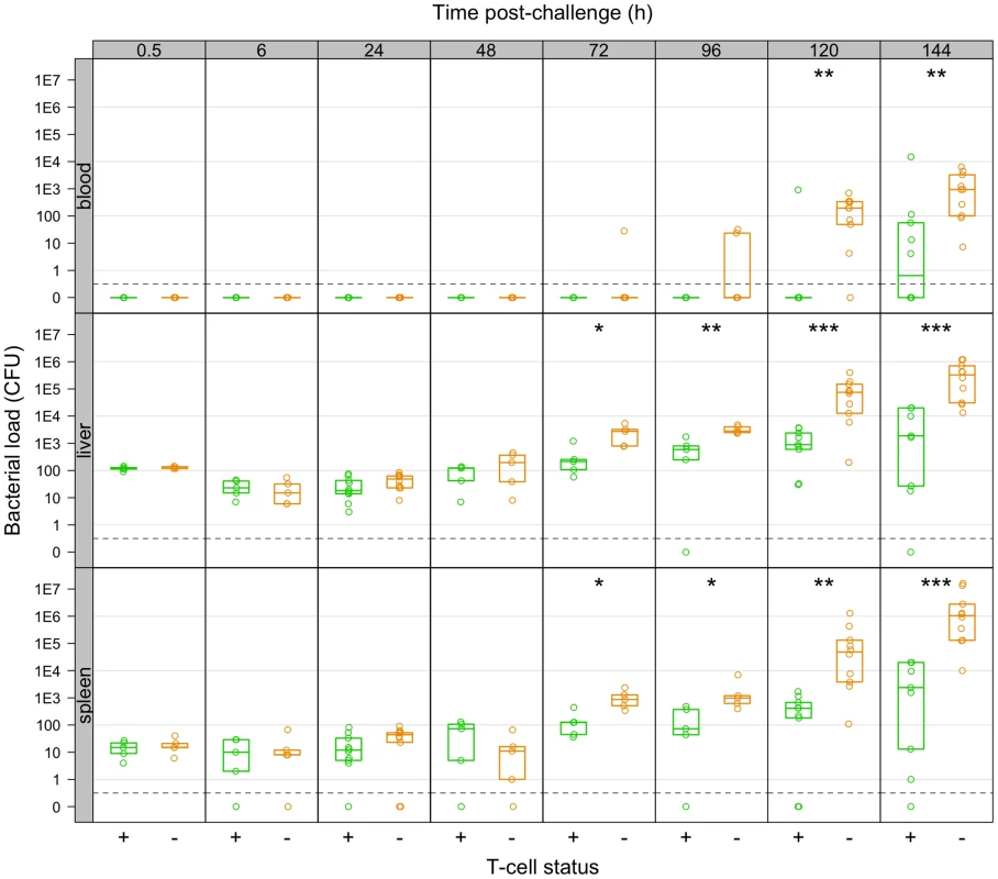 Net growth of secondary challenge bacteria in LV-immunised mice depleted of T-cells as compared to controls.