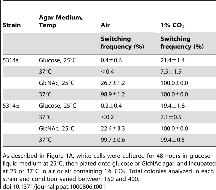 GlcNAc induction of white-to-opaque switching is enhanced at 37°C and in 1% CO<sub>2.</sub>