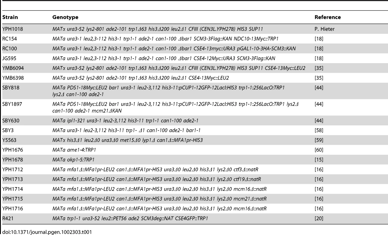 <i>S. cerevisiae</i> strains used in this study.