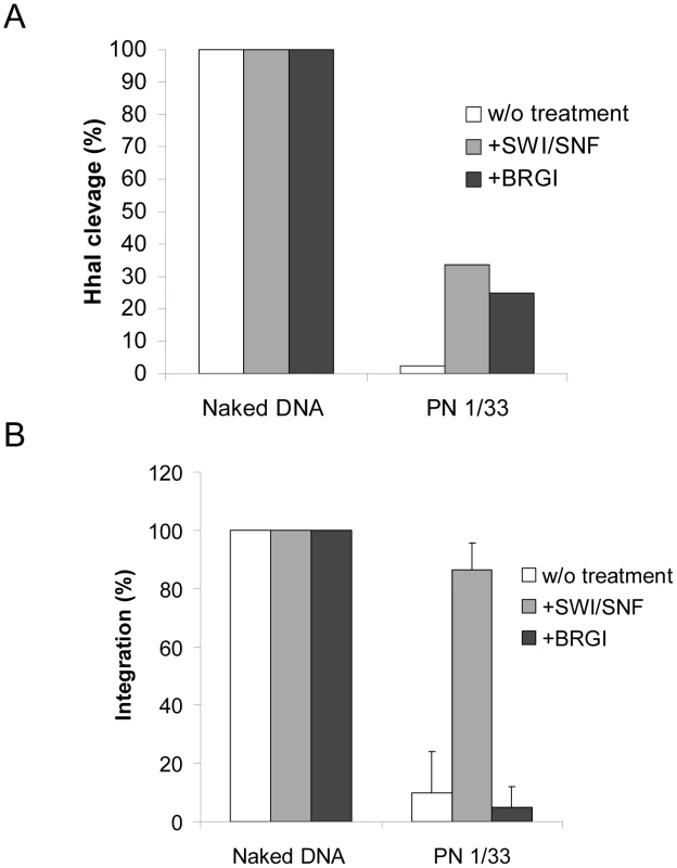 Comparison between the effect of nucleosome remodeling by BRG1 or SWI/SNF on <i>in vitro</i> integration into PN.