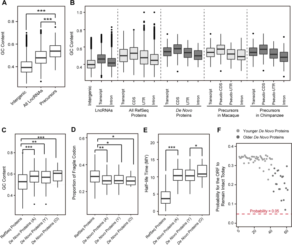 Emergence of human <i>de novo</i> proteins from GC-rich lncRNA precursors.