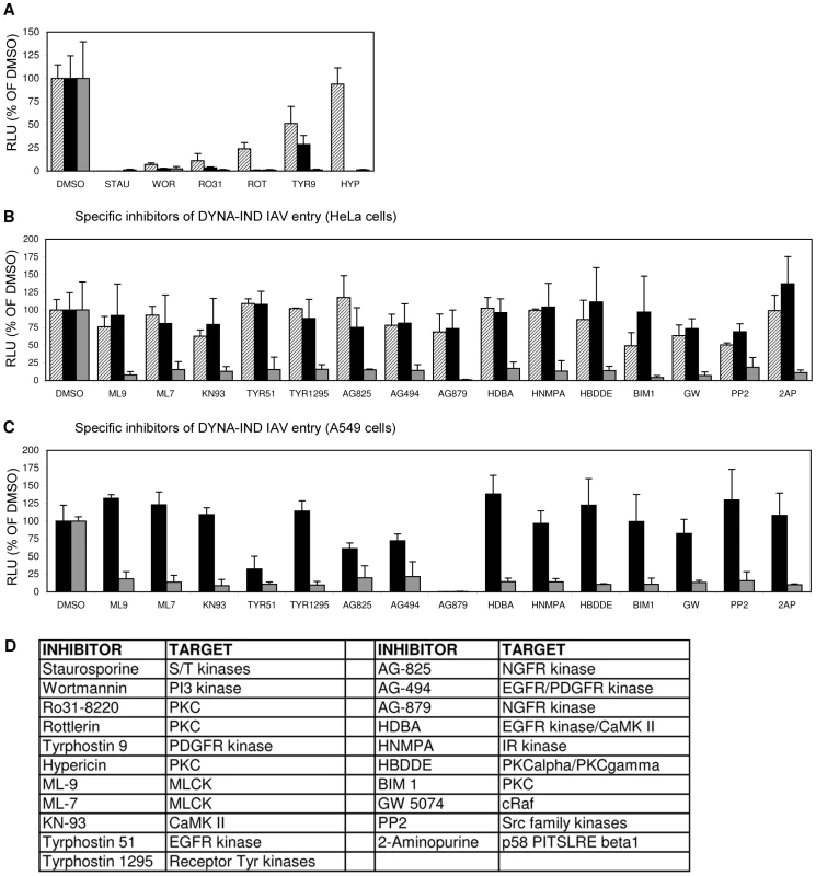 Screening of an eighty-compound protein kinase inhibitor library in an IAV entry assay.