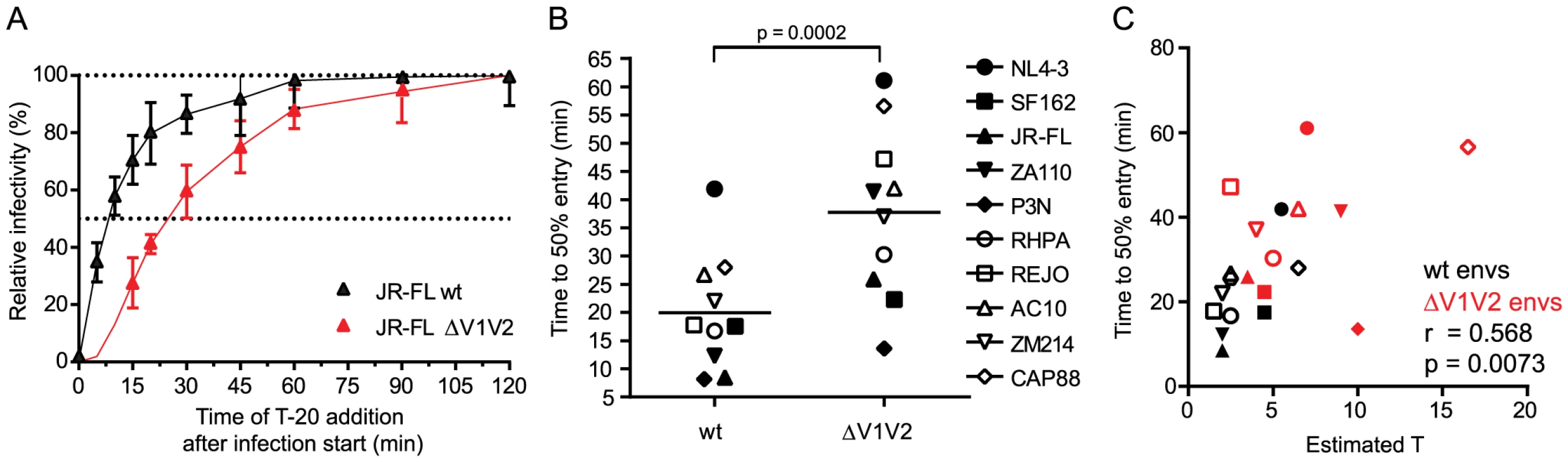 Virus entry kinetics correlate with the stoichiometry of entry.