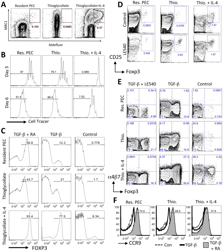 AAMφ have an enhanced capacity to induce Foxp3 expression in T cells.