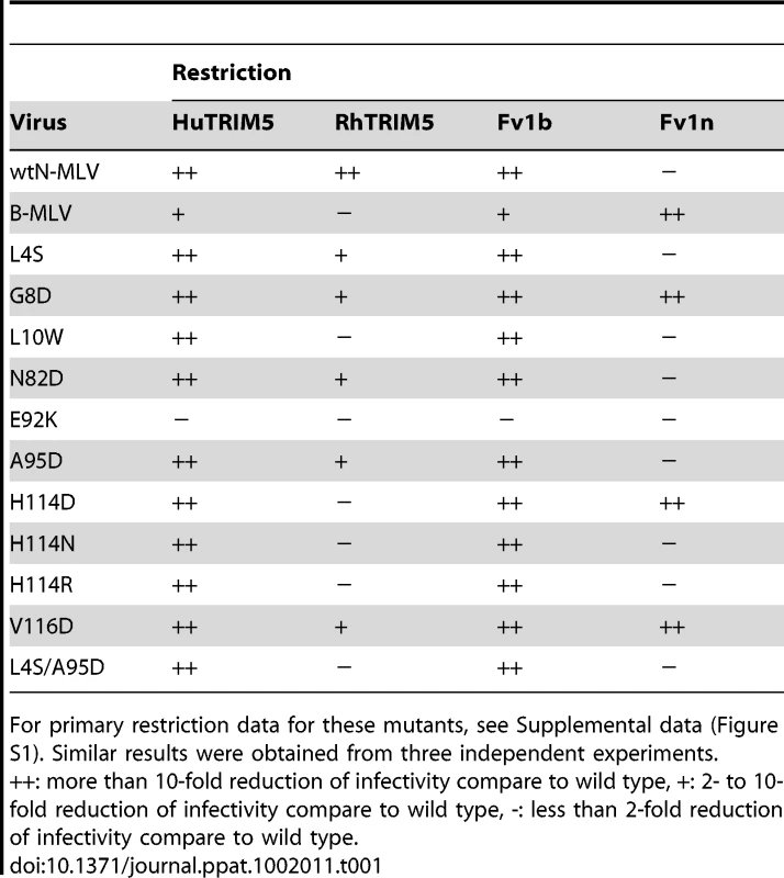 Summary of the restriction profiles of the escape mutants.