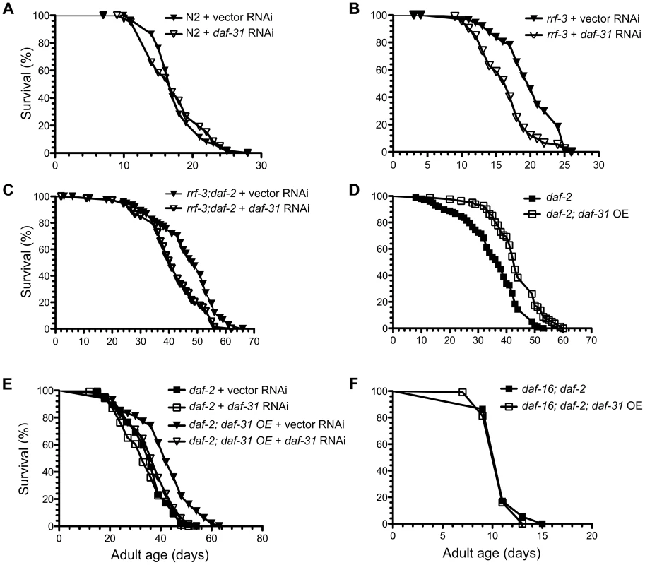 Influence of <i>daf-31</i> on <i>C. elegans</i> lifespan.