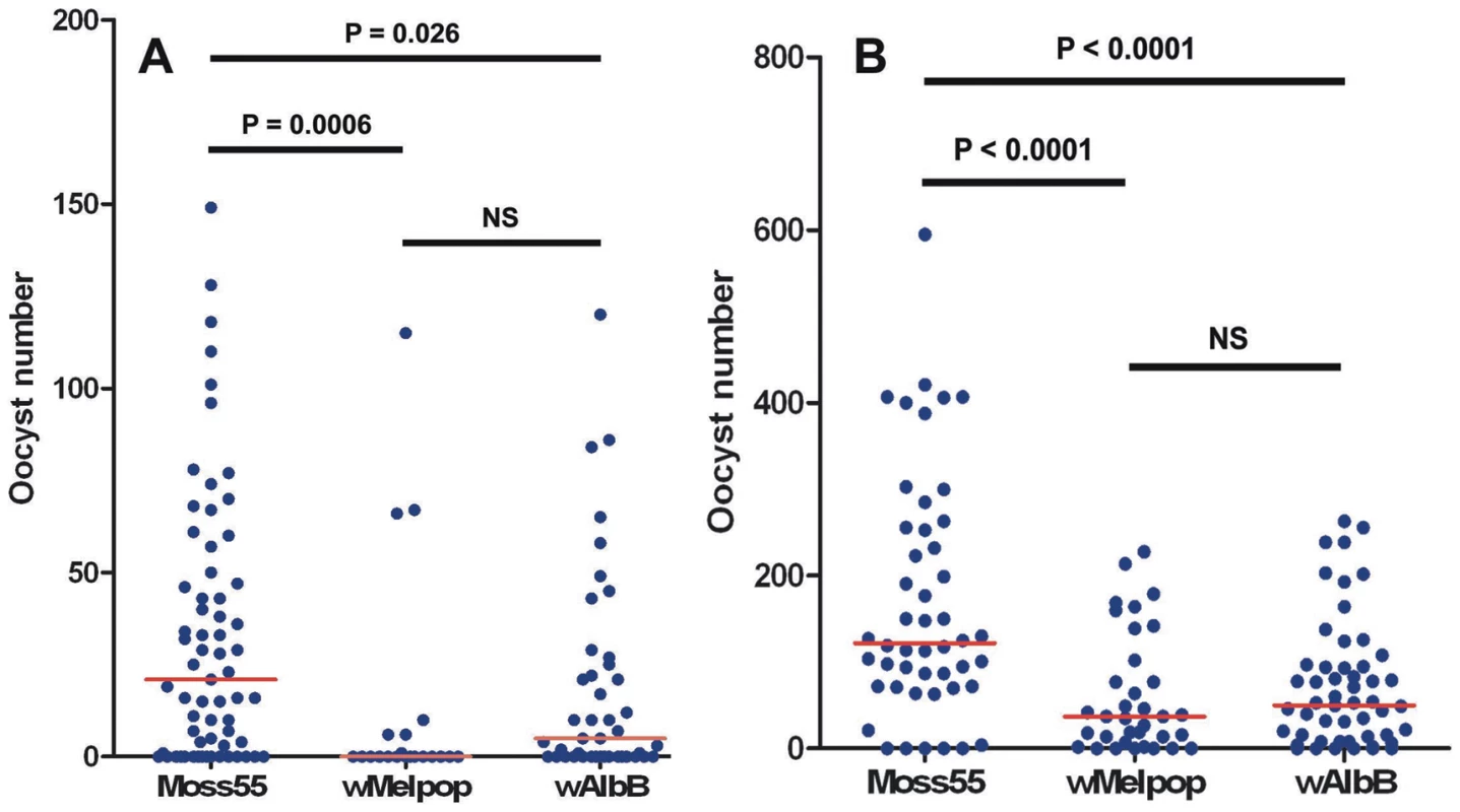 <i>Plasmodium falciparum</i> oocyst counts in <i>Wolbachia</i>-infected <i>An</i>. <i>gambiae</i> mosquitoes.