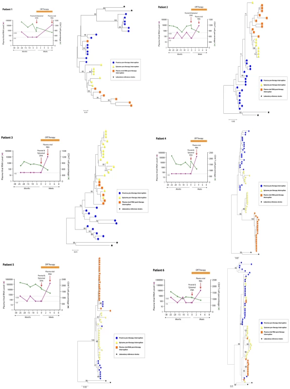 Phylogenetic trees based on the C2-V4 regions of envelope for six different patients undergoing interruption of antiviral treatment.