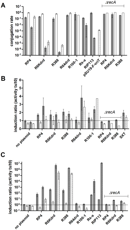 Conjugation induces SOS in <i>E. coli</i> and <i>V. cholerae</i>.