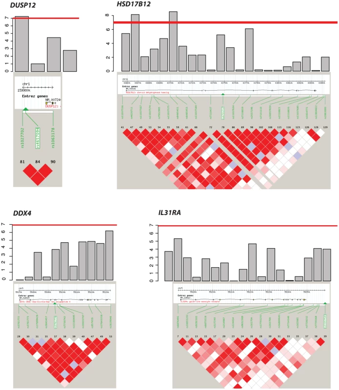 Haplotype view of the 4 genes significantly associated with low-risk neuroblastoma.