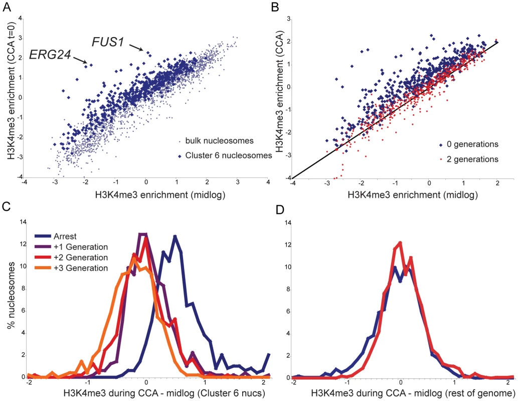 Kinetics of H3K4me3 loss during CCA.