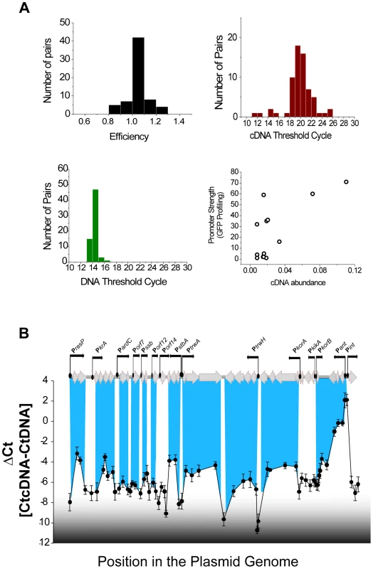 Transcriptional units in plasmid R388.