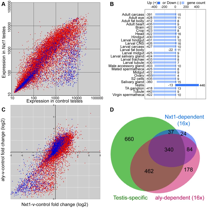 Microarray analysis of <i>Nxt1</i>-dependent gene expression in testes.