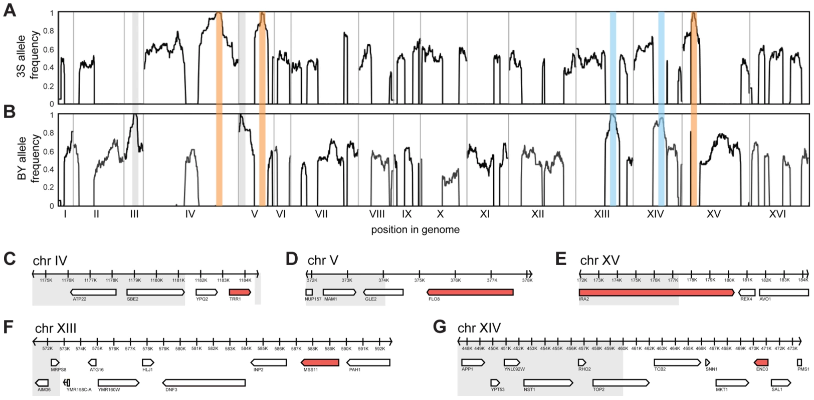 Genetic dissection of the five-way interaction.