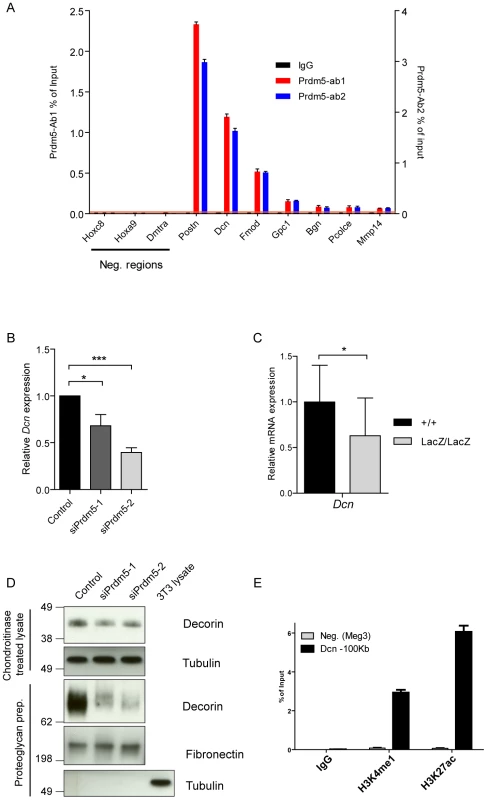 Prdm5 regulates <i>Decorin</i> through a distal enhancer.