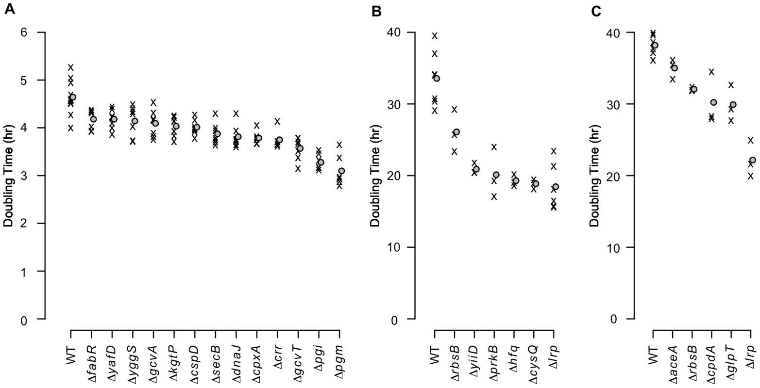 Growth rates of mutants with in-frame deletions.
