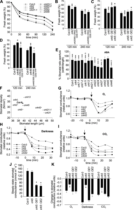 Stomatal development and responses are impaired in specific <i>crks</i>.