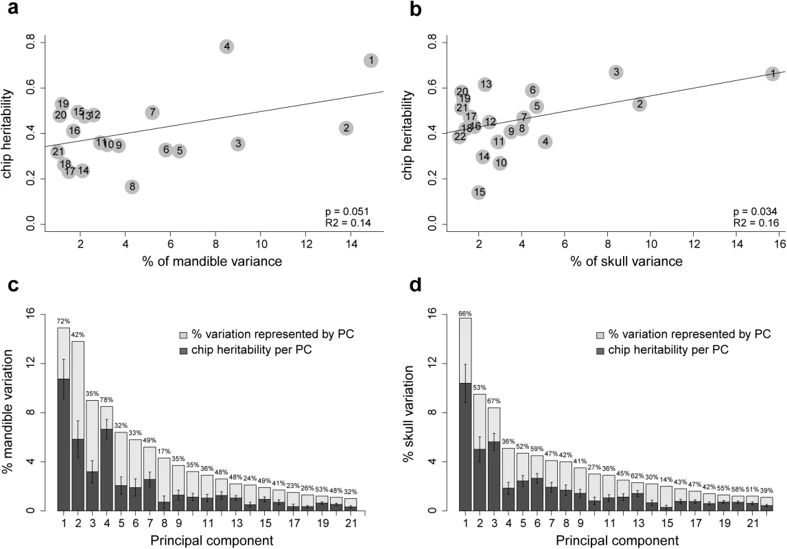 SNP heritability of individual PCs.