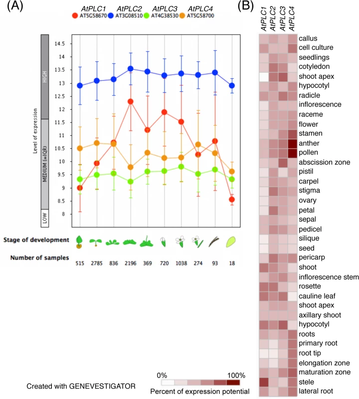 Gene expression patterns of <i>AtPLC1</i>, <i>AtPLC2</i>, <i>AtPLC3</i>, and <i>AtPLC4</i>.