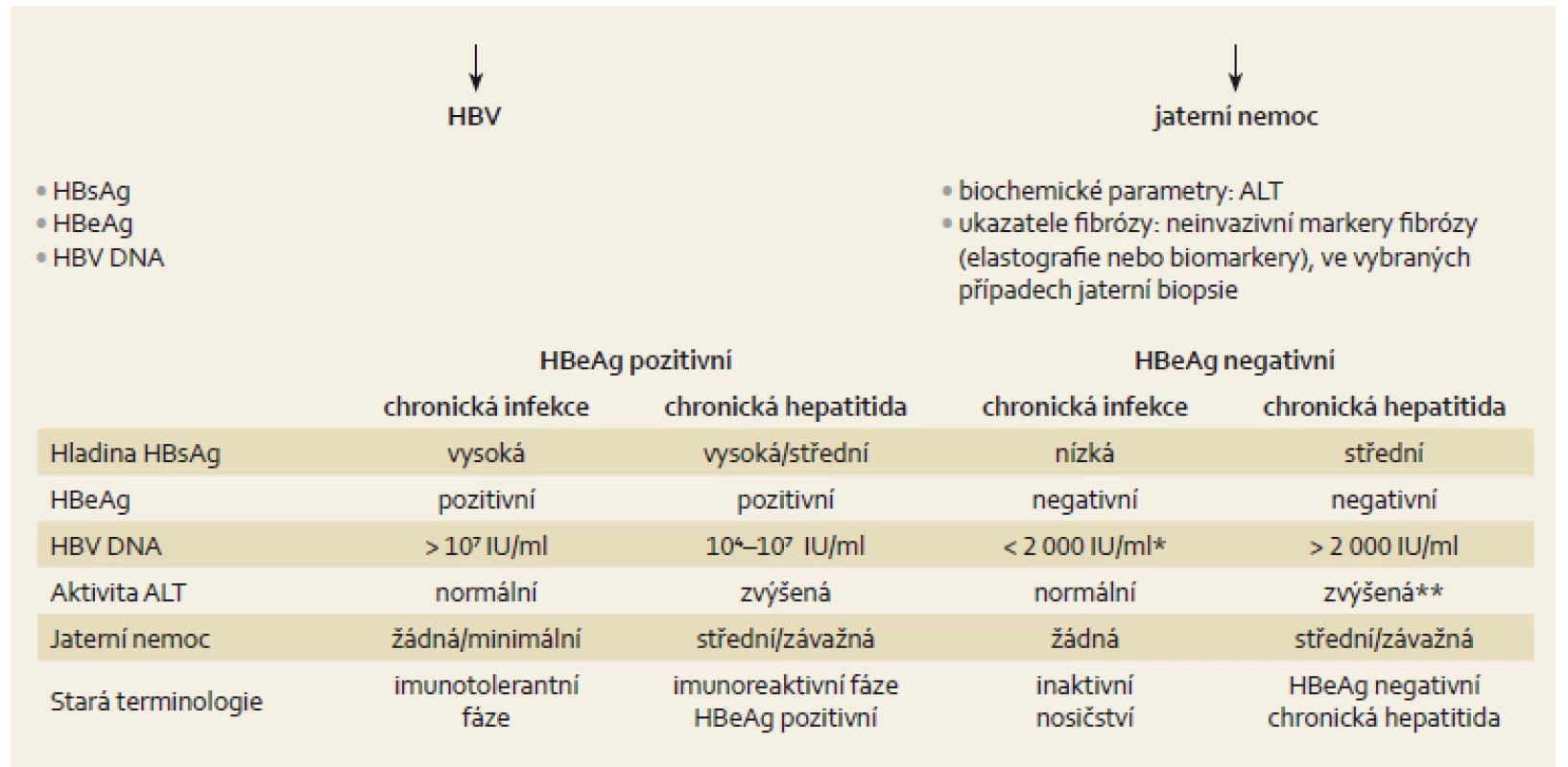 Přirozený vývoj a diagnostika chronické infekce HBV [3].
Fig. 1. Natural development and diagnosis of chronic HBV infection [3].