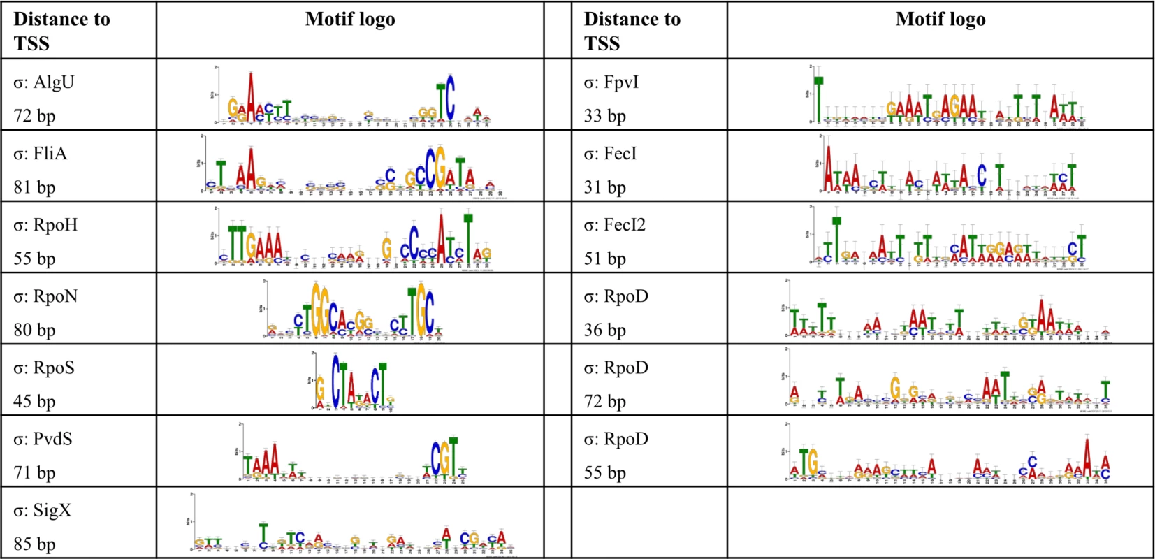 <i>De novo</i> elucidated sigma factor binding motifs.