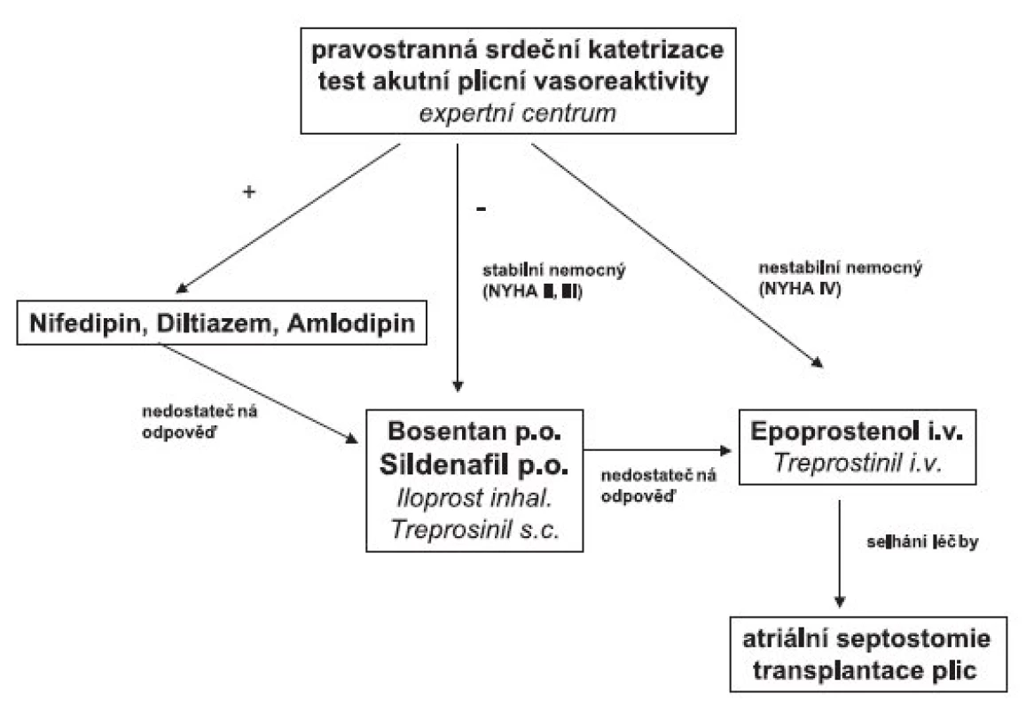 Terapeutický algoritmus u plicní arteriální hypertenze
