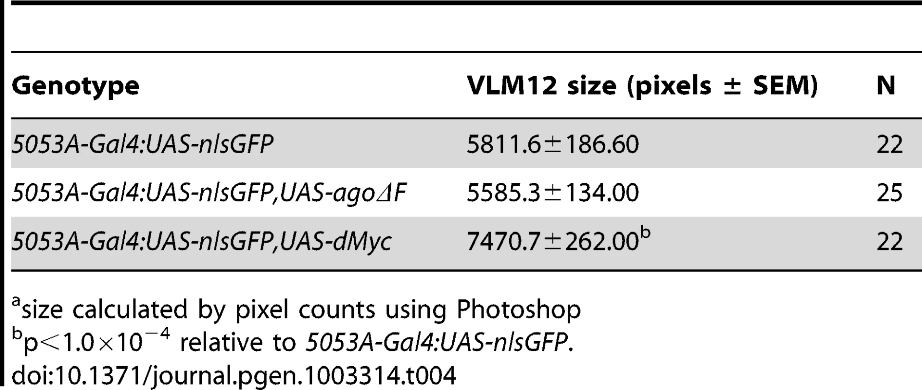Effects of <i>ago</i> and <i>dMyc</i> on VLM12 size.<em class="ref">a</em>