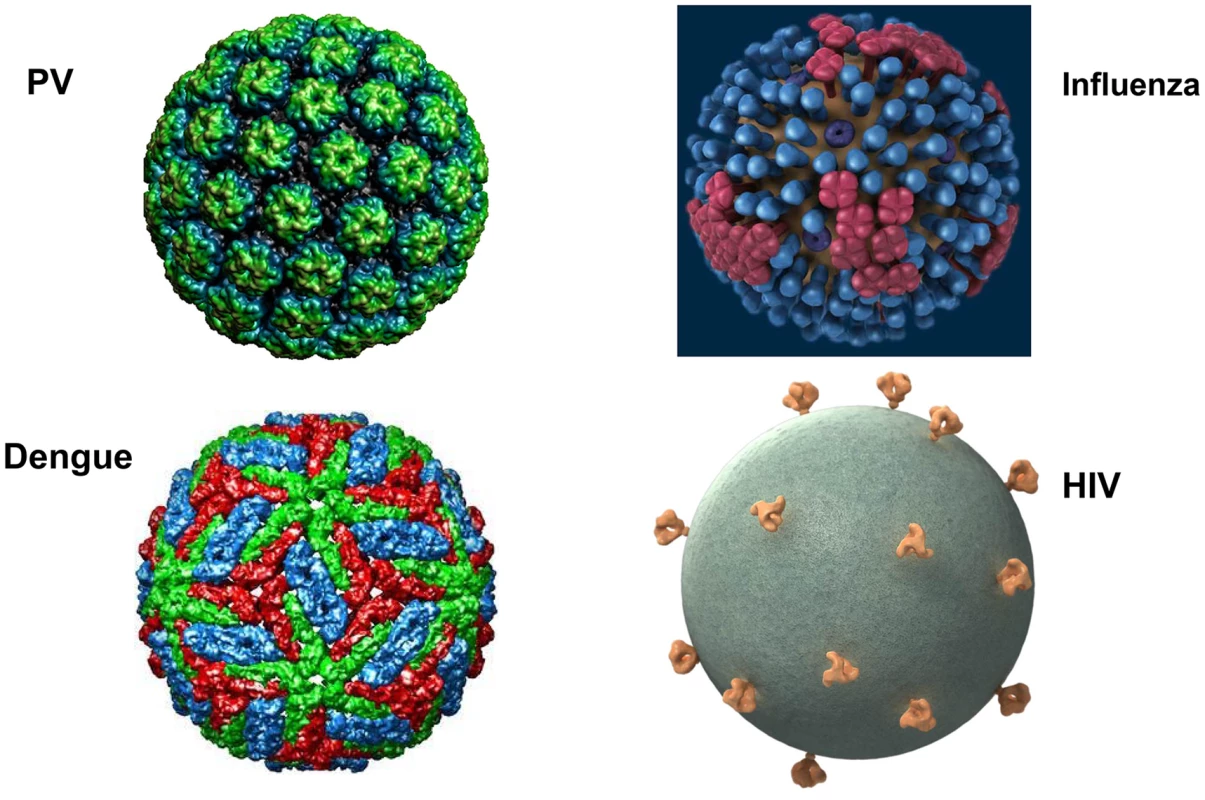 What's different about HIV virions?
