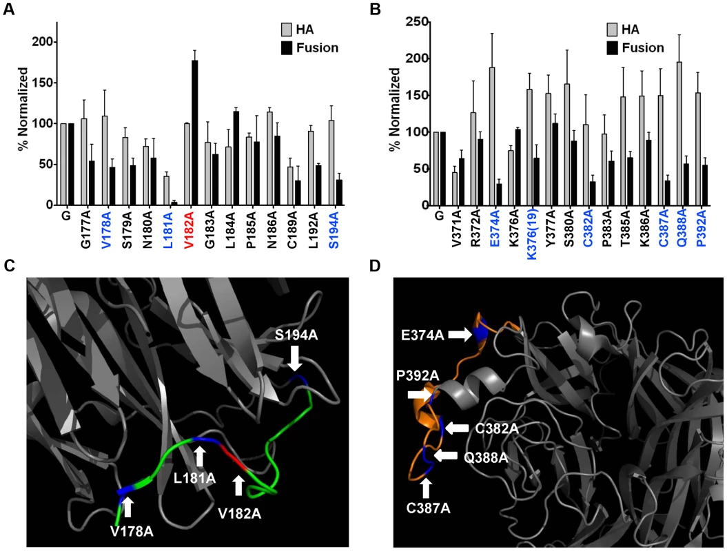 Both regions 9 and 4N modulate NiV membrane fusion.