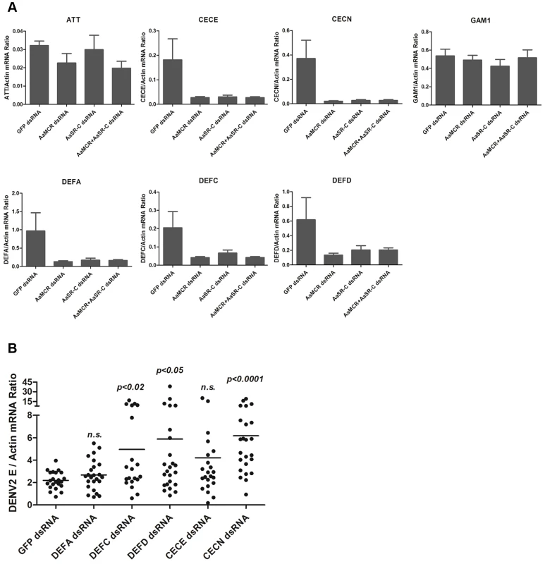 The AaMCR/AaSR-C pathway induces antimicrobial peptides production to control dengue infection.