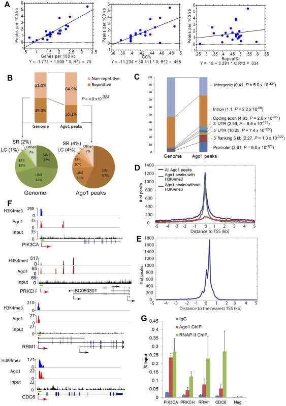 Ago1 is preferentially bound to euchromatic regions on chromosomes.