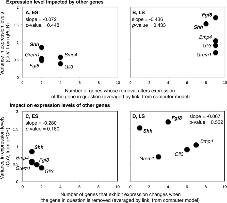 Relationships between among individual variation in gene expression (Y-axes) and gene sensitivity to network perturbation (X-axes; A and B) and ability to impact the network when perturbed (X-axes; C and D) are shown for the early (ES; A and C) and late (LS; B and D) stages of limb development.