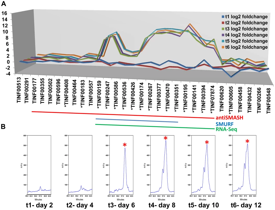 Computational and transcriptional identification of the cyclosporin metabolite cluster.