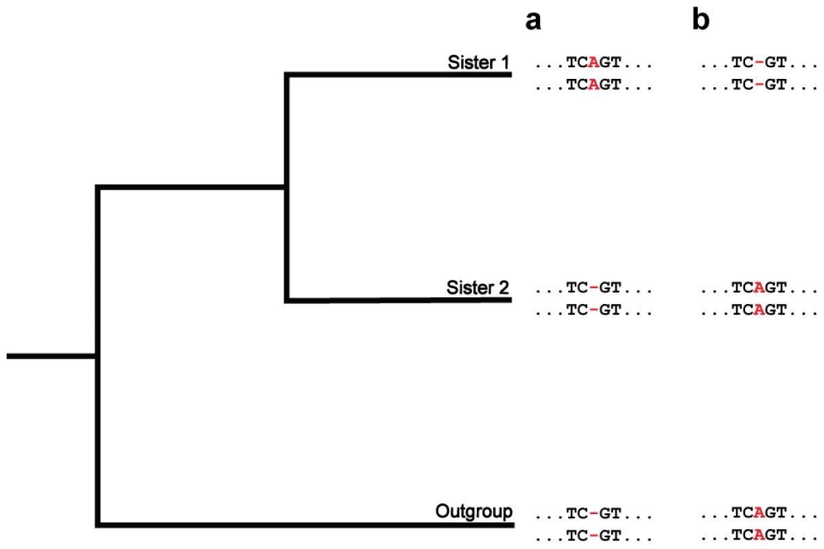 A phylogenetic approach for detecting fixed indels.