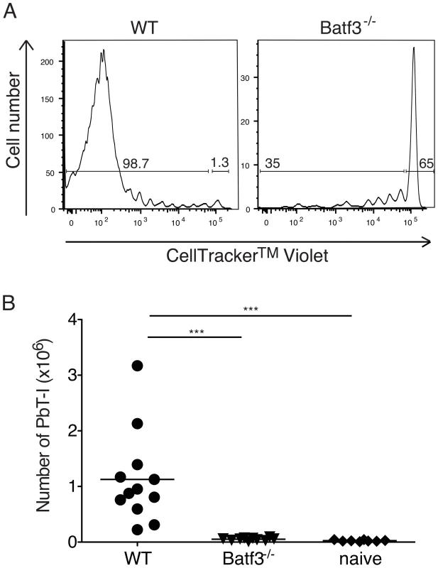 CD8α<sup>+</sup> DC are required for presentation of irradiated sporozoites delivered by the i.v. route.
