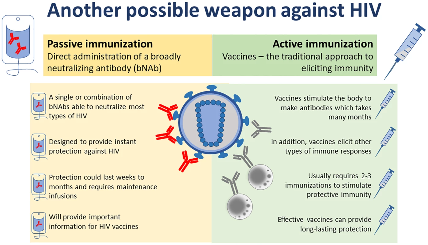 Another possible weapon against HIV.