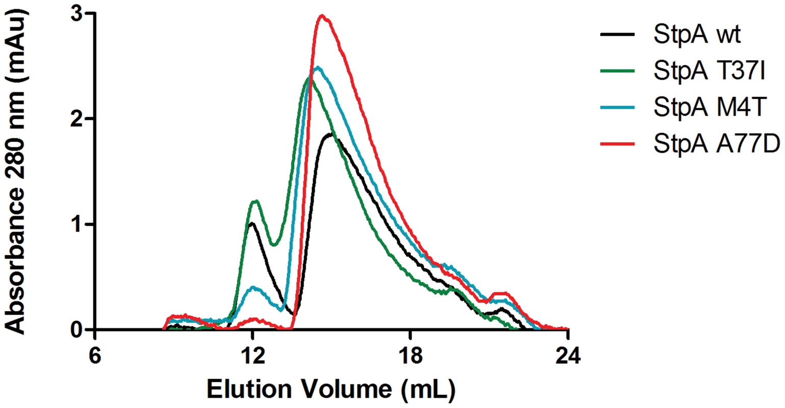 Analytical gel filtration of StpA and the StpA<sub>M4T</sub>, StpA<sub>A77D</sub>, and StpA<sub>T37I</sub> variants.