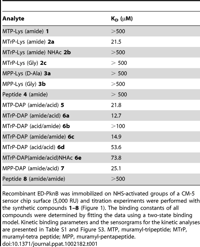 Affinity of synthetic muropeptides for the extracytoplasmic domain of <i>M. tuberculosis</i> PknB.