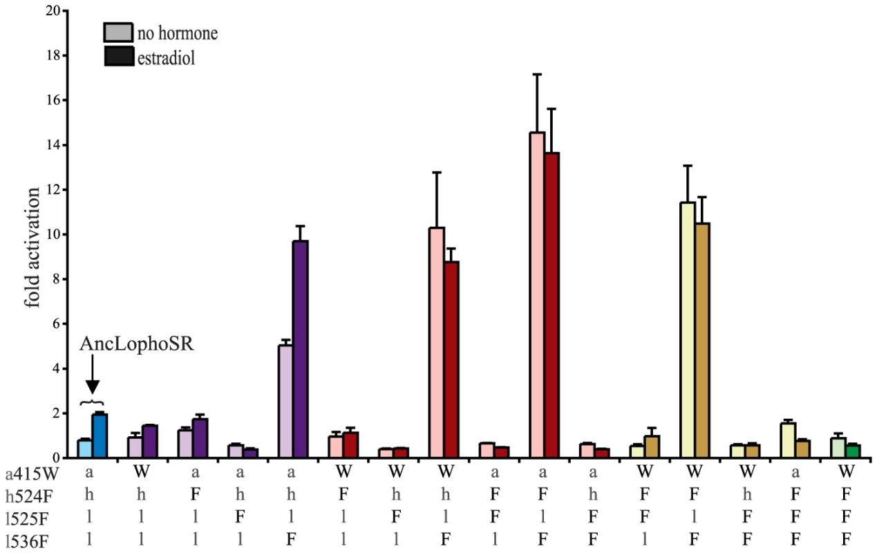 Two historical substitutions recapitulate the evolution of constitutive activity.