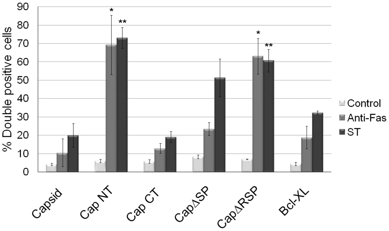 The anti-apoptotic function of capsid protein maps to the carboxyl-terminal region.