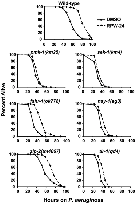 Full efficacy of RPW-24 in prolonging the lifespan of <i>C. elegans</i> infected with <i>P. aeruginosa</i> requires the p38 MAP kinase signaling cassette.