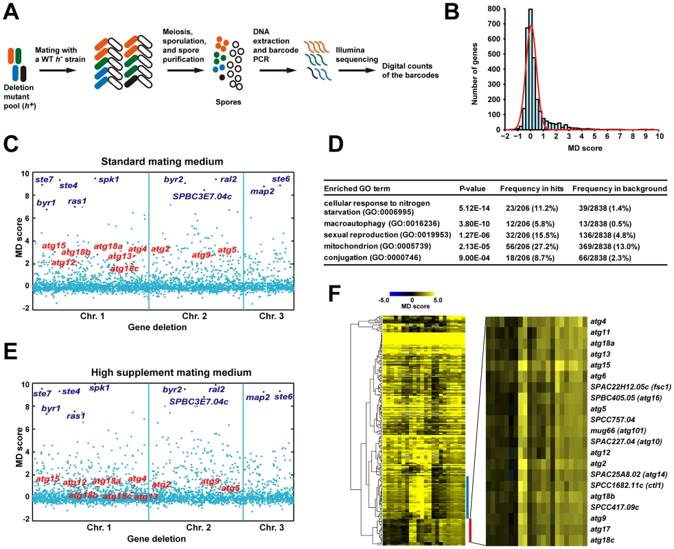 Barcode sequencing-based screens of mating phenotype.