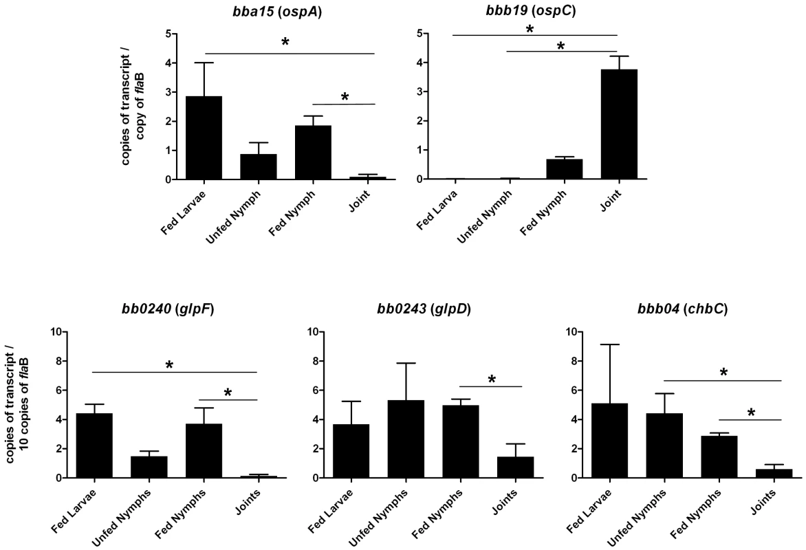 Transcriptional analysis of selected genes at different stages of the enzootic cycle.