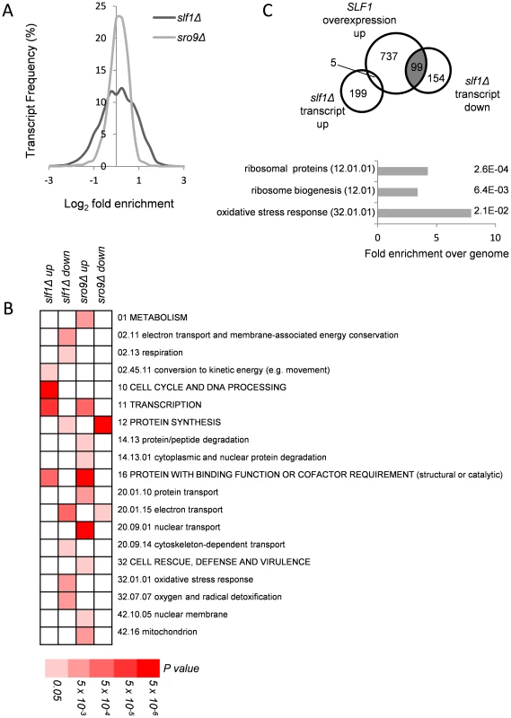Alterations in mRNA abundance in <i>slf1</i> and <i>sro9</i> deletion mutants.
