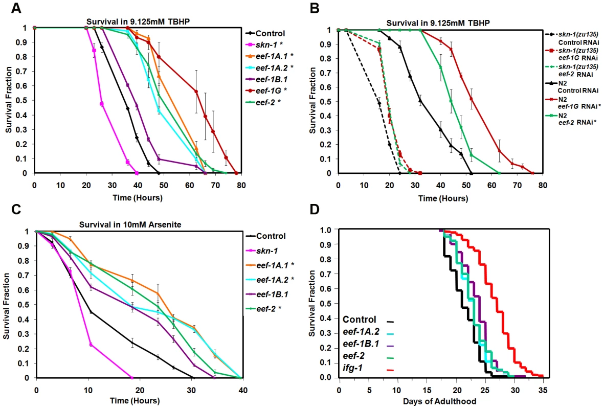TEF knockdown increases oxidative stress resistance.
